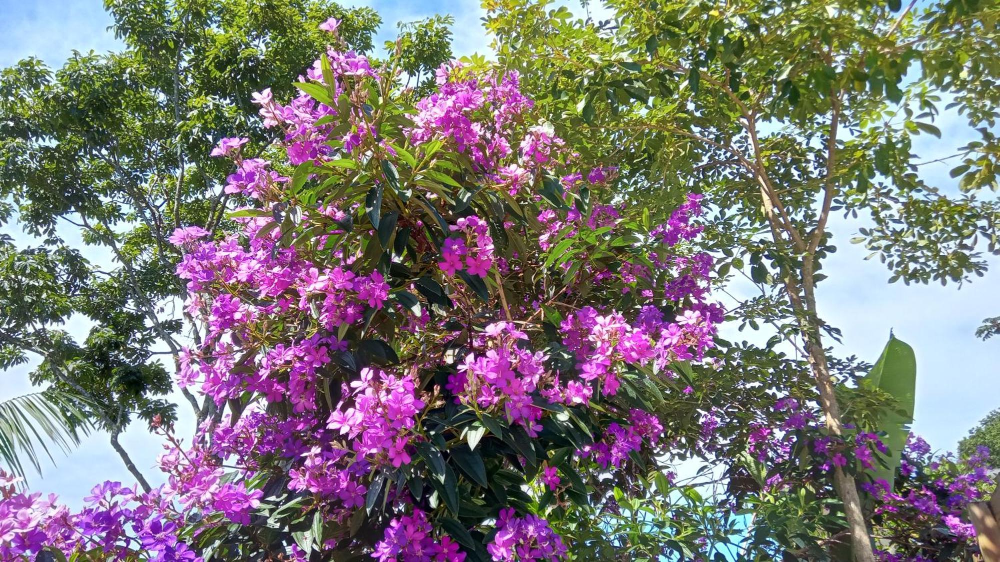 Pousada Hang Jurerê Tradicional Florianopolis Bagian luar foto